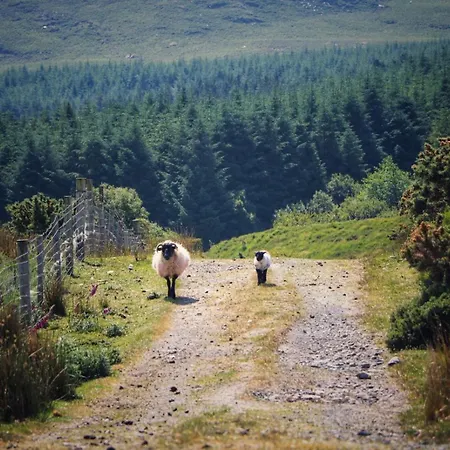 Semesterbostad Daffodil 2 Bedroom *