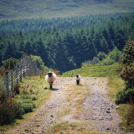 Holiday home Louisburgh Cottages *