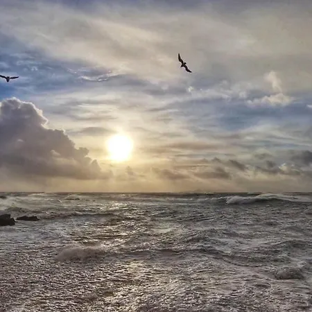 Daffodil 2 Bedroom * Louisburgh