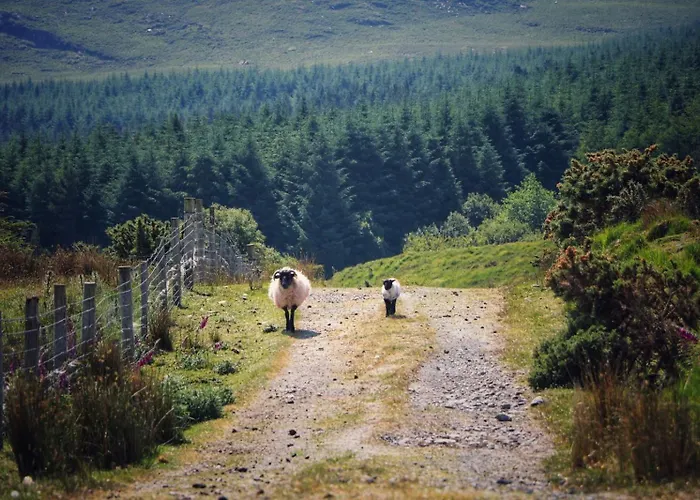 Ferienhaus Daffodil 2 Bedroom *