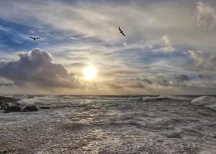 Daffodil 2 Bedroom * Louisburgh